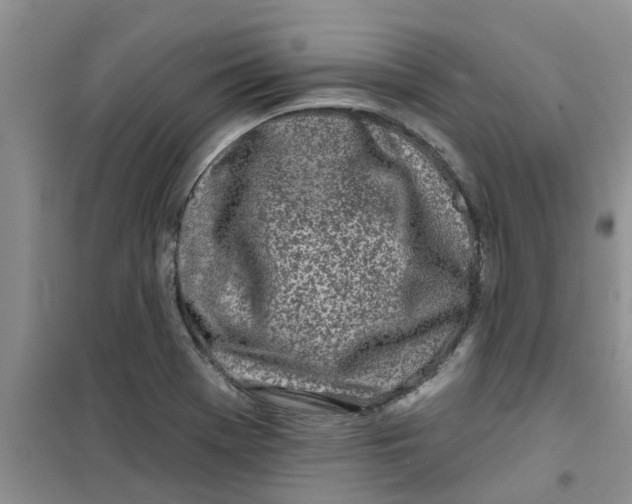 X0000100971369200807221159