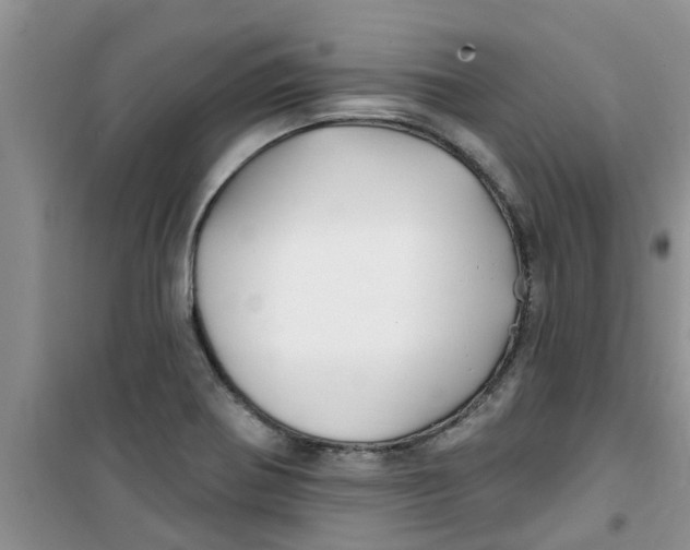 X0000100971370200807221159