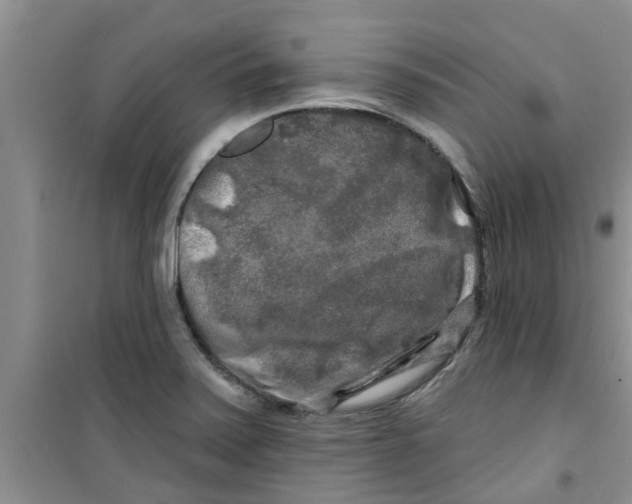 X0000100971371200807221159