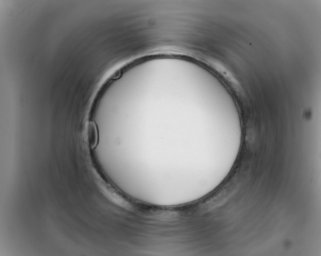 X0000100971372200807221159