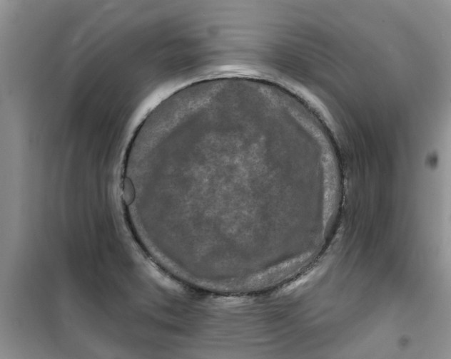 X0000100971373200807221159
