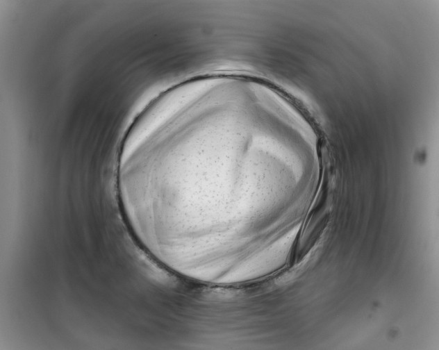 X0000100971374200807221159