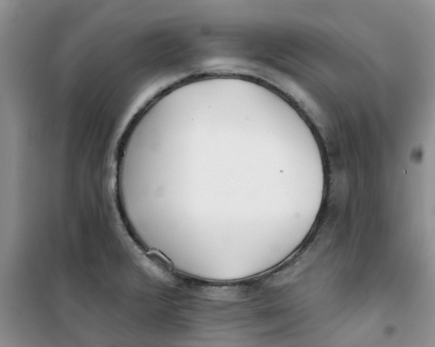 X0000100971376200807221159