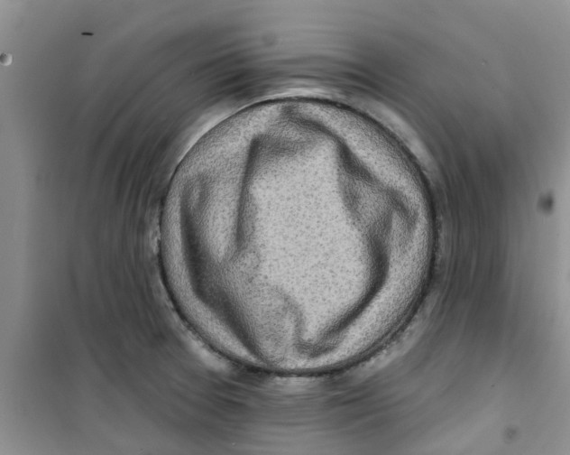 X0000100971377200807221159