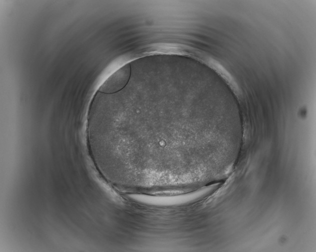 X0000100971378200807221159