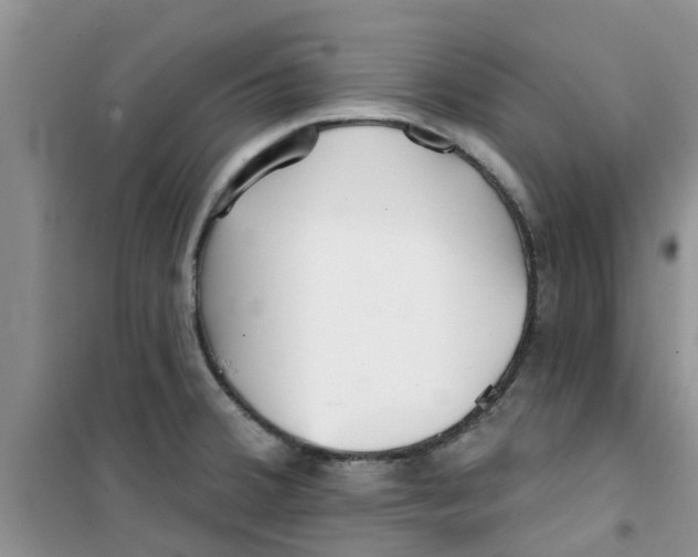 X0000100971380200807221159