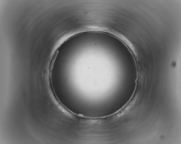 X0000100971381200807221159