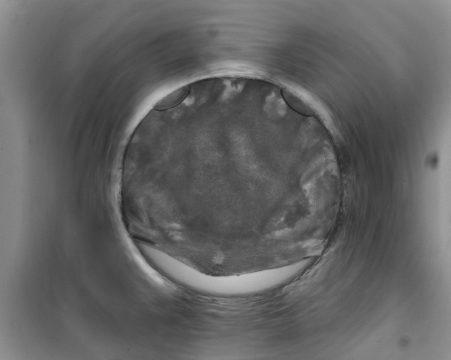 X0000100971383200807221159