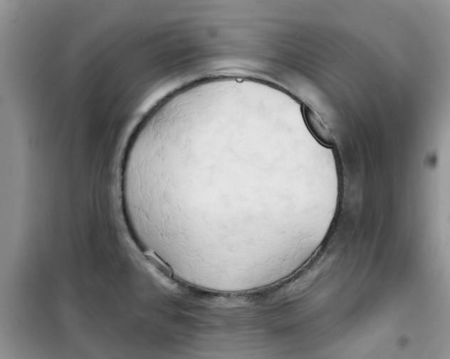 X0000100971384200807221159