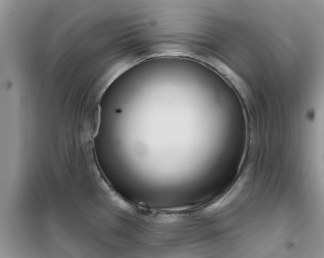 X0000100971385200807221159