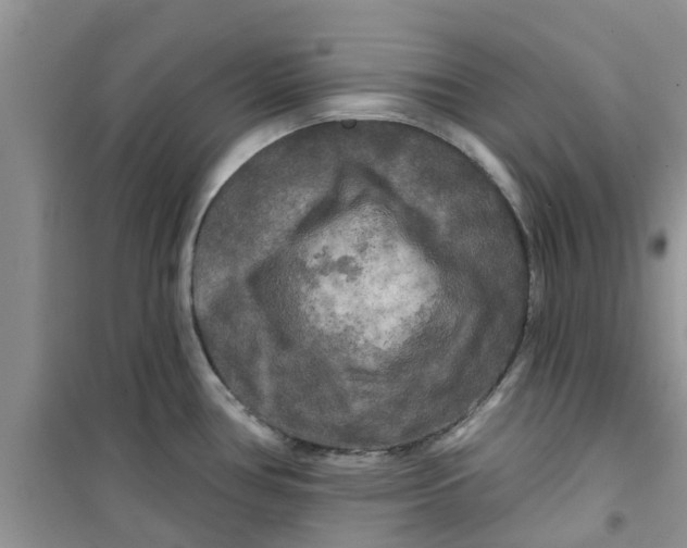 X0000100971386200807221159