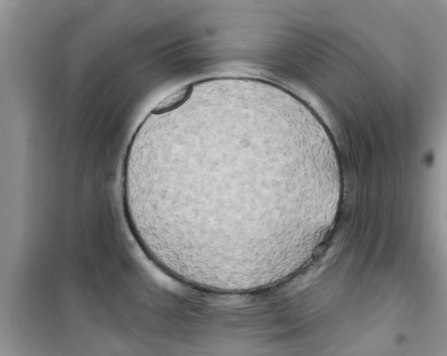 X0000100971387200807221159