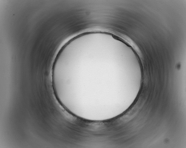 X0000100971388200807221159
