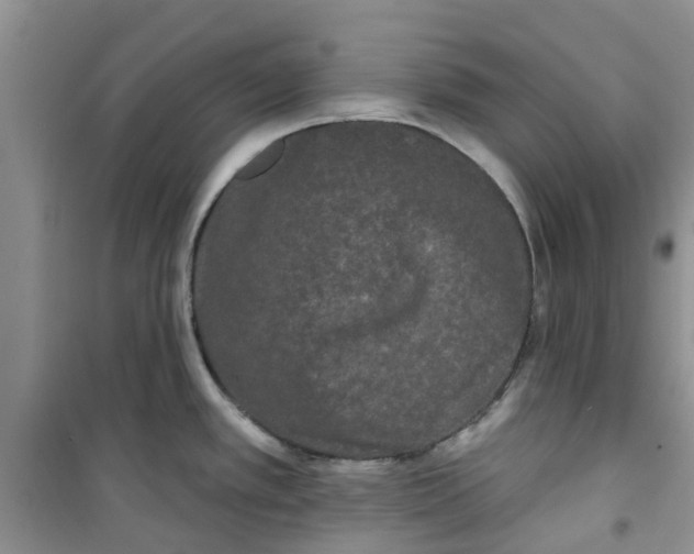 X0000100971389200807221159