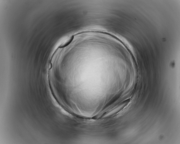 X0000100971390200807221159