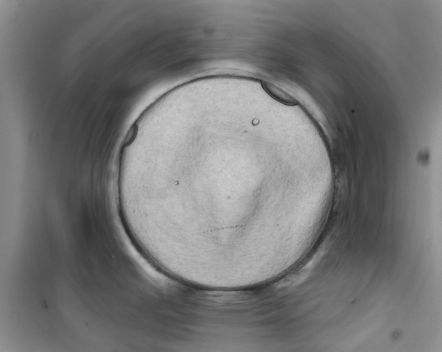 X0000100971391200807221159