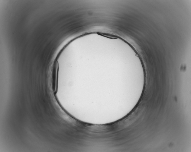 X0000100971392200807221159