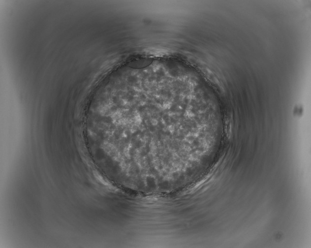 X0000100971393200807221158
