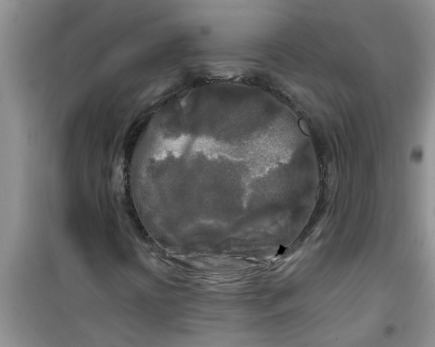 X0000100971394200807221158
