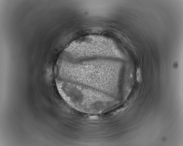 X0000100971395200807221158