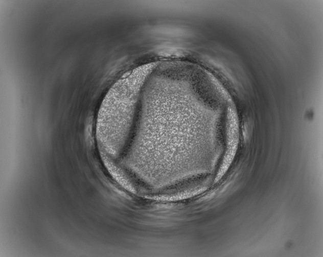 X0000100971396200807221158