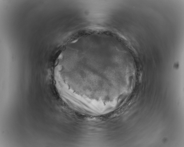 X0000100971397200807221158