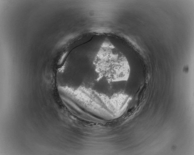 X0000100971398200807221158