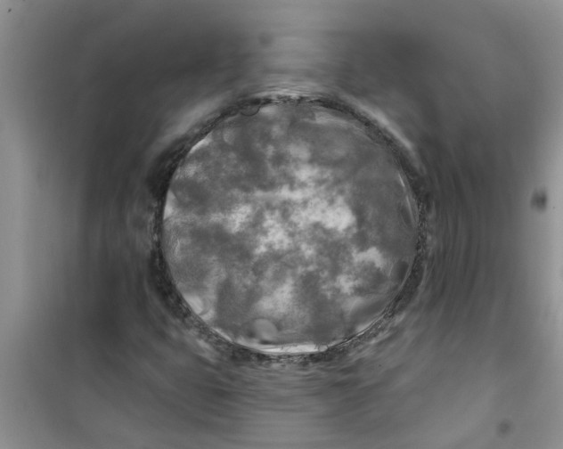 X0000100971399200807221158