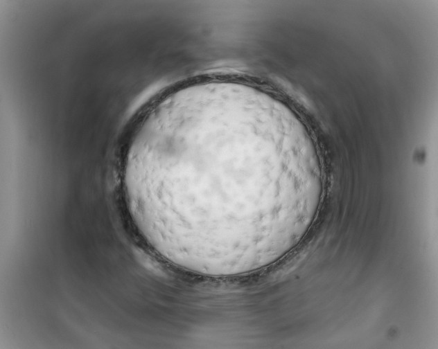 X0000100971400200807221158