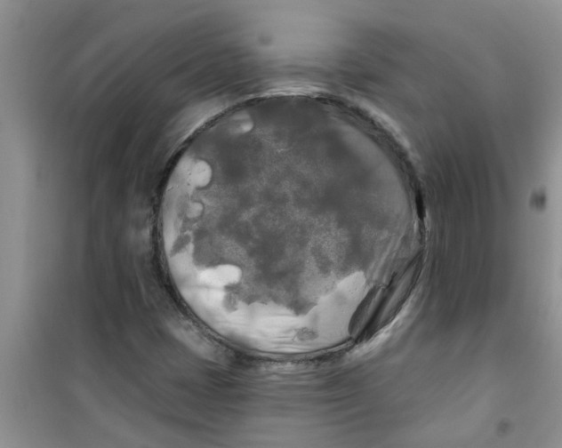X0000100971401200807221158