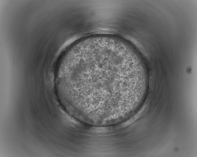 X0000100971402200807221158