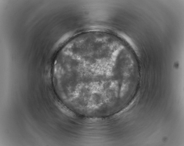 X0000100971403200807221158