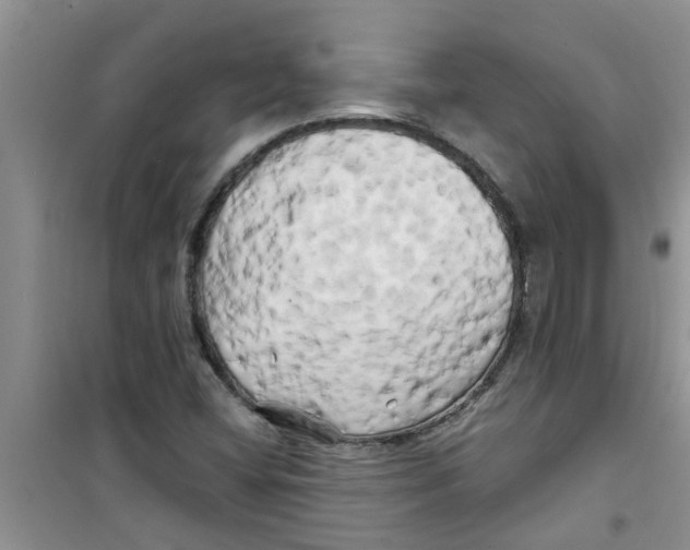 X0000100971404200807221158
