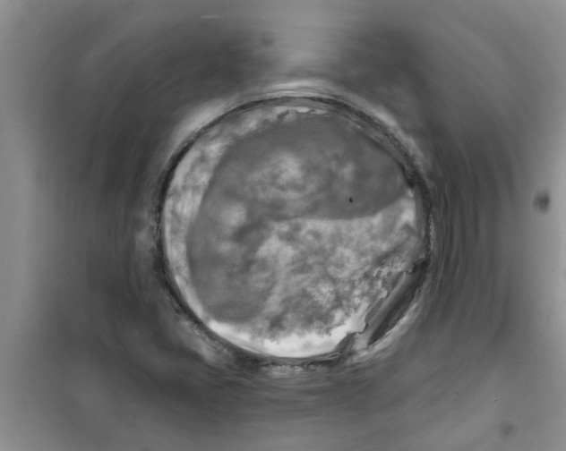 X0000100971405200807221158
