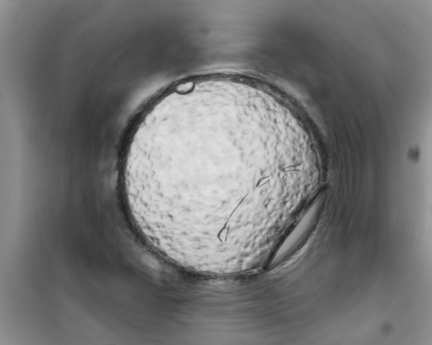 X0000100971406200807221158