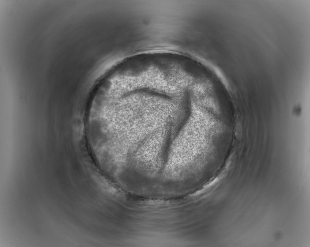 X0000100971407200807221158