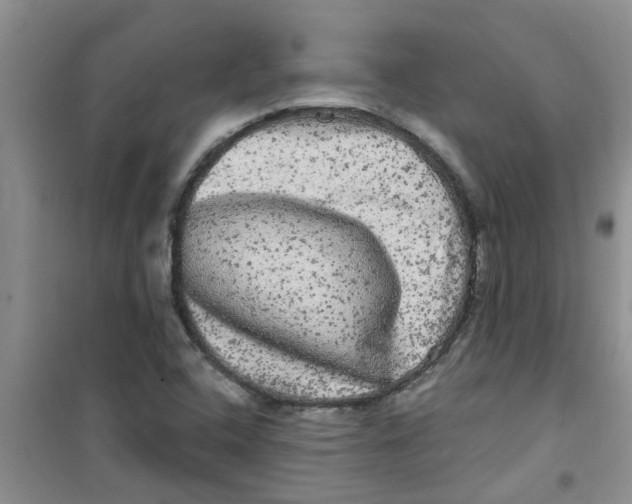 X0000100971408200807221158