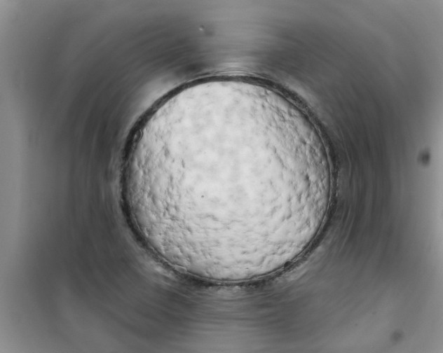X0000100971410200807221158