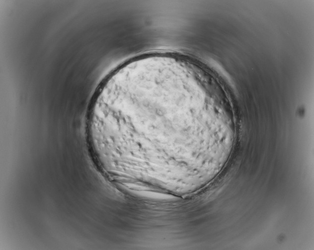 X0000100971412200807221158