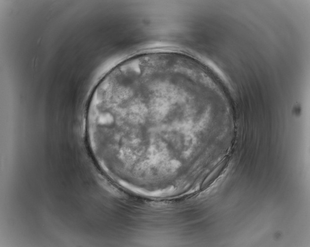 X0000100971413200807221158