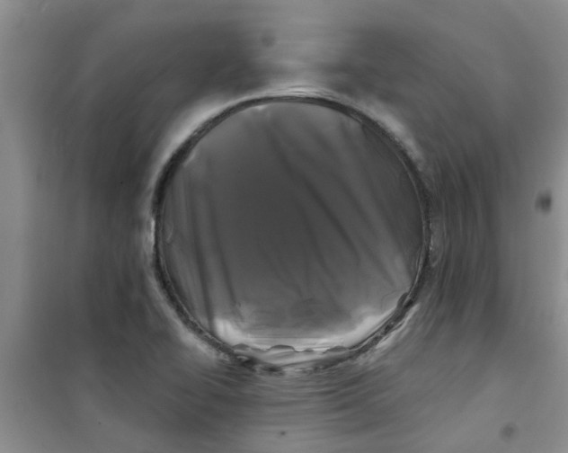 X0000100971414200807221158