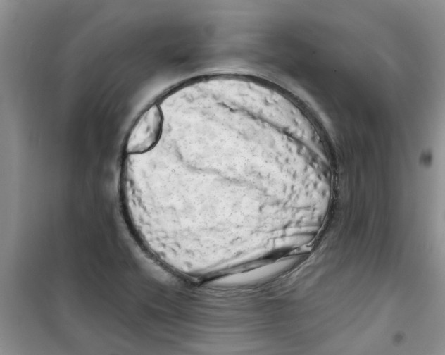 X0000100971416200807221158