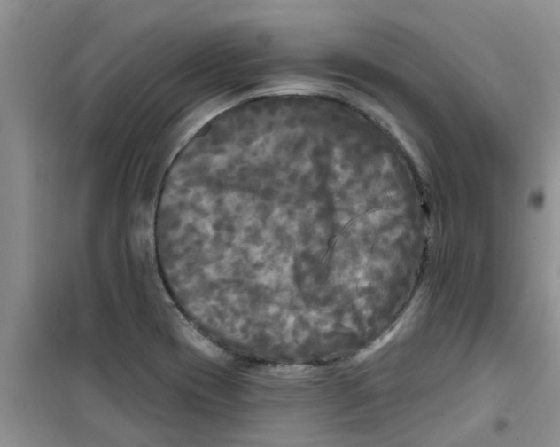 X0000100971417200807221158