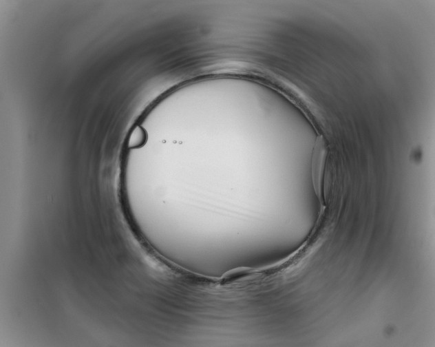 X0000100971418200807221158