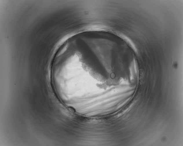 X0000100971419200807221158