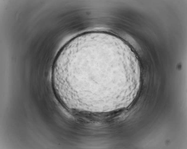 X0000100971420200807221158