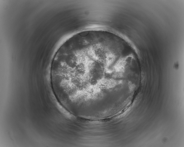 X0000100971421200807221158