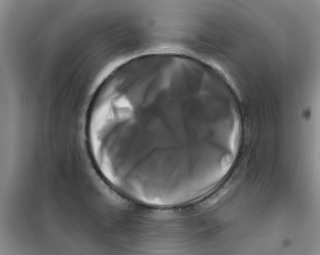 X0000100971422200807221158