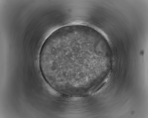 X0000100971423200807221158