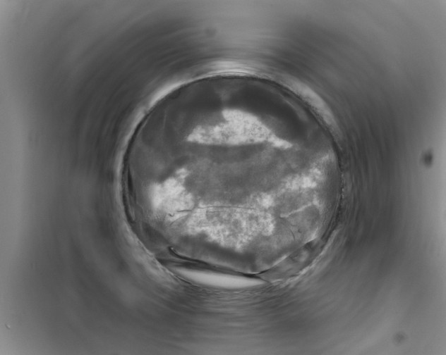 X0000100971427200807221158
